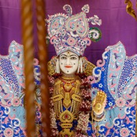 Daily Darshan